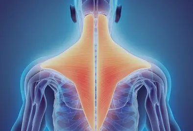 Chronic or Severe Pain